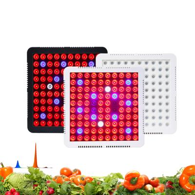 China Nursery Period 1000w Red Blue LED Plant Grow Light For Grow Tent Plant for sale