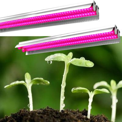 China Seed Starting Led Grow Strip Light For Commercial Hydroponics Grow for sale