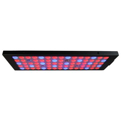 China Seed Starting 2022 Portable Youth Led Grow Light Supplier For Indoor Plant Growing Light Plants for sale