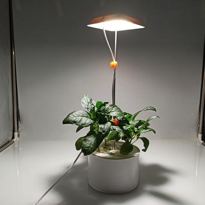 China BLOSSOM 5W Detachable Mini Mushroom Self-Timed Planting Plant Growth Lamp can be used for office, home and school for sale