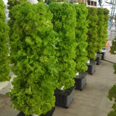 China Easy Installed Hydroponics Nft System With 45 Holes Vertical Hydroponic Growing Kits Systems Plant Vegetable for sale