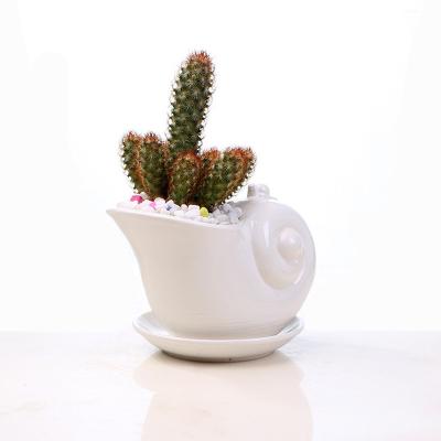 China Modern Small Snails Succulents Flower Pots Planter White Cute Animal Ceramic Pot for sale