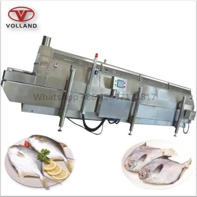 China food & Beverage Plant Seafood IQF Equipment / Liquid Nitrogen Tunnel Freezer For Leiocassis Longirostris for sale