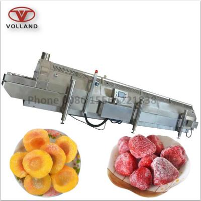 China food & beverage factory iqf tunnel freezer/stainless belt freezer for lobster/strawberry tunnel liquid nitrogen freezer for sale