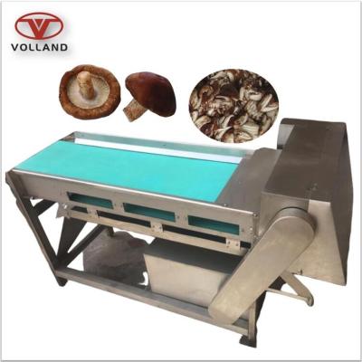 China Hotels Coprinus comatus slice cutting machine/shii-plug slicer/automatic mushroom slicing machine for sale