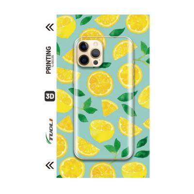 China TuoLi 3D Anti-scratch Customized Sticker Popular Smart Back Back Protect Film For Phone for sale