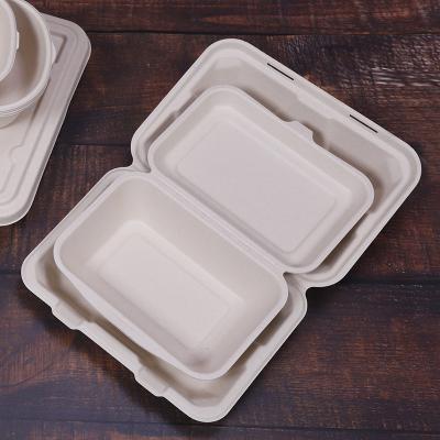 China Factory Supply Bagasse Disposable 8 Inch Clamshell Food Box Biodegradable for sale