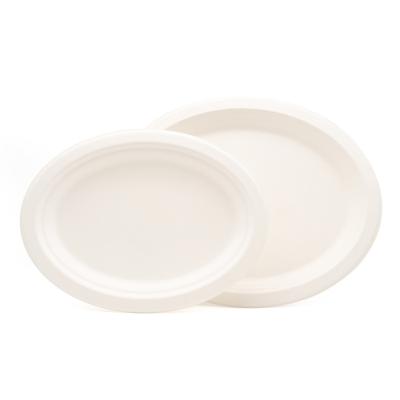 China Disposable Size Can Be Customized Disposable Bagasse Material Paper Plate Part Ellipse Plate for sale