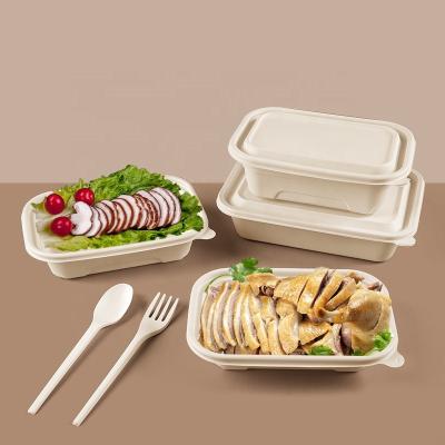 China Sugarcane Disposable Bagasse Food Wrapping Salad Biodegradable Compostable Round Paper Soup Bowl With Lid for sale