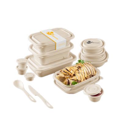 China 3/5 Bento Lunch Catering Microwave Disposable Biodegradable PP Meal Prep Container Biodegradable Disposable Thermoformed Container 3/5 Bowl for sale