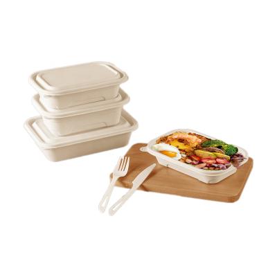 China Biodegradable Biodegradable Sugar Cane Bagasse Food Container Disposable Biodegradable Bowls for sale