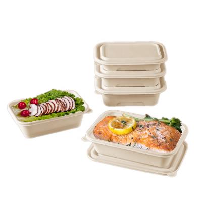 China Biodegradable Disposable 100% Natural Compostable Sugar Cane Take Out Food Containers Bagasse Packaging Disposable Lunch Box for sale