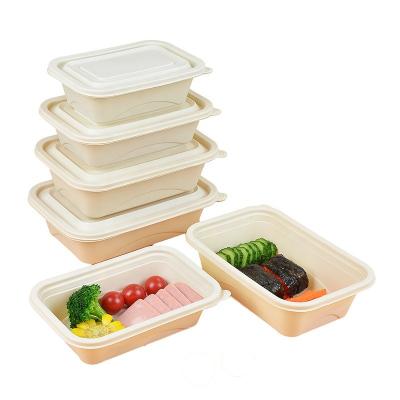 China 3 Compartment Lunch Box Sugarcane Bagasse Tableware Biodegradable Biodegradable Food Containers for sale