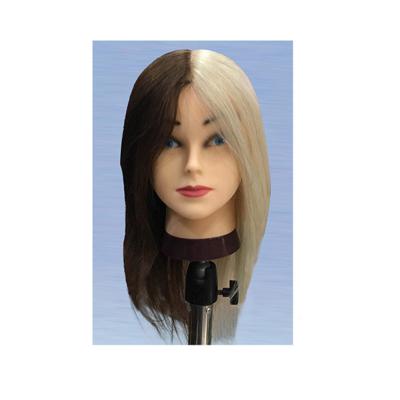 China Real Hair Mannequin Dresser Head Mannequin Doll Head For Makeup Hairdressing Training Head for sale