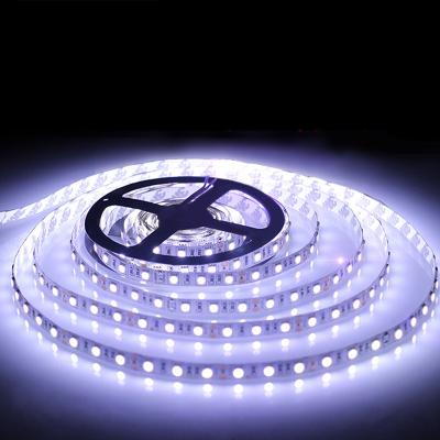 China High Quality Theme Park Zigzag Led Strip Light 3528 12volt S Shape 2018 New Led Strip for sale