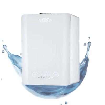 China Outdoor Instant Gas Electric Hot Instant Water Heater For Kitchen Bathroom for sale