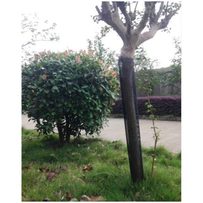 China Plastic Protective PP Tree Guards Plants 50-110cm Welded Mesh PP Mesh Plastic Tree Guard for sale