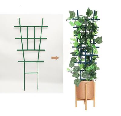 China Hot Sale Dark Green PP Planters Support Rings Cages Trellis Garden Trellis Plant Support Tall 50*29cm for sale