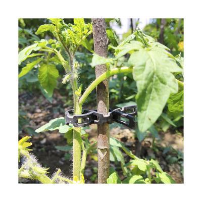 China Black Easy To Bend Flexible PVC Locking Tree And Plant PVC Garden Plants Twist Ties 1.2cm wide*Length Range: 15-330ft for sale