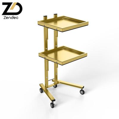 China 2/3 Layer Modern Barber Shop Trolley Hairdressing Tool Car Hair Salon Storage Trolley Beauty Display Cabinet Salon Trolley for sale