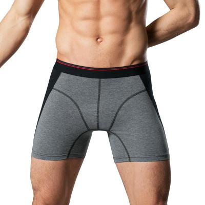 China Long Cotton Sports Men's Underwear Stretch Cotton Running Wear Men Antibacterial Standing Up Boxer Boy Shorts for sale