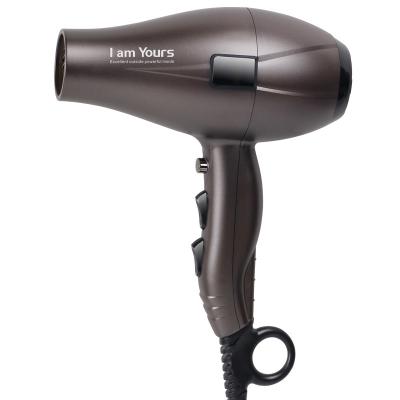 China Professional Powerful 2300W New Hot OEM/ODM Styling Portable Compact AC Motor Hair Dryer Hair Blow Dryer for sale