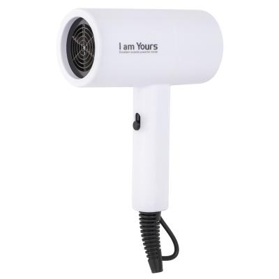 China Magnetic Compact DC Motor Portable Blow Dryer Concentrator Size 1800W With Button Mini Travel Hair Dryer Small Cool Pulled Hair Dryer for sale