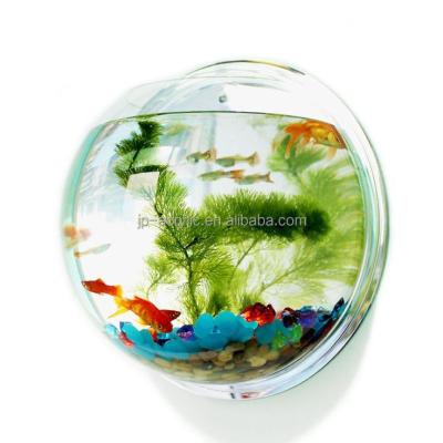 China Customized Viable Size Wall Hanging Acrylic Aquarium Around Fish Plant Tank for sale