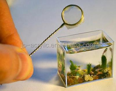 China Zebra Viable Tiny Fish Aquarium Mini Acrylic Fish Tank for sale