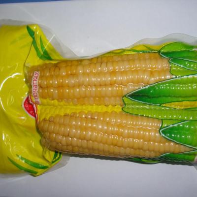 China Cooked sweet corn on cob in vacuum packaging China plant UAE/KSA/RUSSIA market for sale