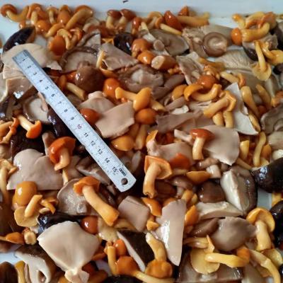 China Canned Canned Mixed Mushrooms for sale