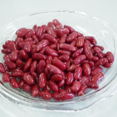 China Canned Canned Red Kidney Beans To New Brine Cultivation Season China Factory 2020 for sale