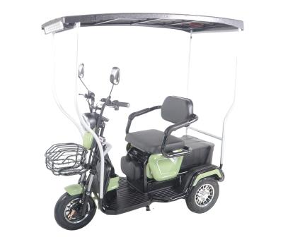 China New Arrival 600W Electric Vehicle Solar Panel Electric Tricycle One Wheel Electric Solar Panel Tricycle Three Wheel Cargo 205/50-10 for sale