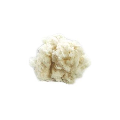 China Breathable Promotional Specials Exquisitely Crafted Cotton Plantcot Herbal Yarn for sale