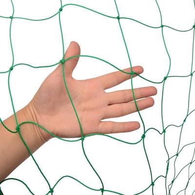 China Low Price Guaranteed High Quality Garden Plastic Fence Climbing Rattan Net Plant Support And Nets for sale