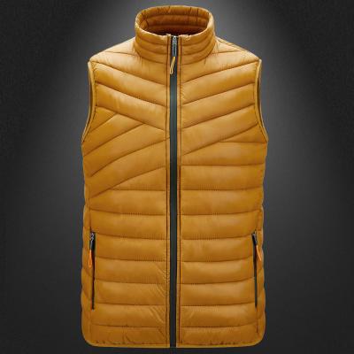 China QUICK DRY Jacket 2021 Top Selling Hooded Men's Vest Fashion Passionate Fur Vest For Men for sale