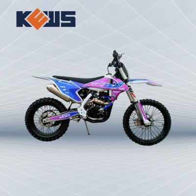 China Kews vier Anschlag-Schmutz-Fahrrad-blaue Aufkleber-Hinterfahrräder des Anschlag-Motocross-300CC 4 zu verkaufen