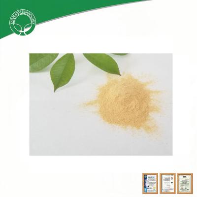 China Vegetable Peptone for Food Industry Fermentation for sale