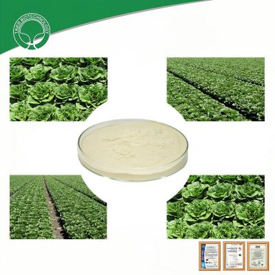 China Nitrogen 13-0-0 Soy Based Hydrolysate Amino Acid Powder Organic Fertilizer for sale