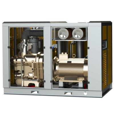 China Lubricated 160kw Industrial Twin-stage Rotary Screw Air Compressor High Cost Performance for sale