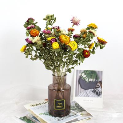 China Green environmental protection Wholesale Natural Dry Strawflower Flower Bouquet Sun Small Daisy Chrysanthemum Colorful Flower for sale