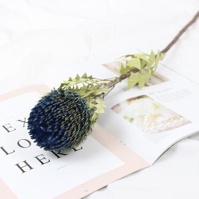 China 2021 Hot Sale 100% Natural Organic Flower New High Quality Multicolor Dry Flower Dried Banksia For Decoration for sale