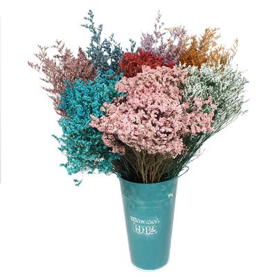 China 100% China Supplier Natural Organic Preserved Flower Valentine's Grass &Preserved Misty Limonium Florist Accessories For Home Decoration for sale