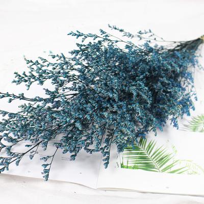 China Hot Selling Natural Touch Yunnan Supplier Floral Bouquet Desmodium Gyrans Lover Grass Limonium Natural Flowers for sale