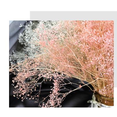 China Beautiful Widely Used Baby's Breath Wedding Decoration Preserved Flowers Million Star Flower Gypsophila Flower for sale