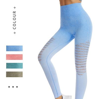 China New Style Breathable Soild Color High Waisted Workout Mesh Yoga Leggings Gym Fitness With Custom Logo For Women Apparels for sale