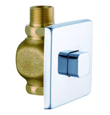 China Modern Square Shape Installation Toilet Flush Valve Concealed Brass Push Button Flush Valve for sale