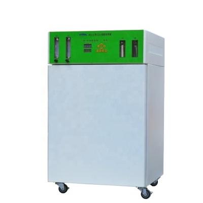 China WJ-2 Series 80L 160L CO2 Incubator CO2 Incubator Cell Culture With High Quality WJ-2 Series for sale