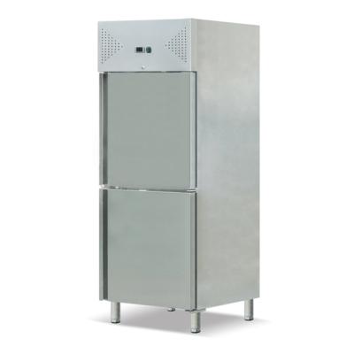 China Vertical refrigerator Foshan made European quality upright two door stainless refrigerator/multifunctional fish meat storage low temperature freezer for sale for sale