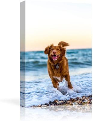 China High Resolution Canvas Printing Custom Prints With Your Pet / Animal Photos Personalized Canvas Pictures Suitable For Wall Printing for sale